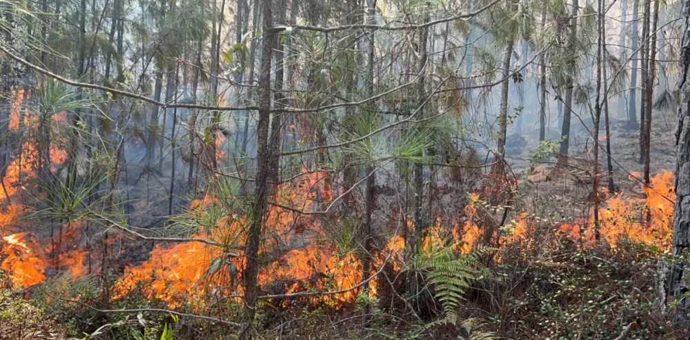 Incendio forestal activo en la Sierra de Bahoruco, cerca de Bahía de las Águilas